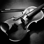 Live Musicians
